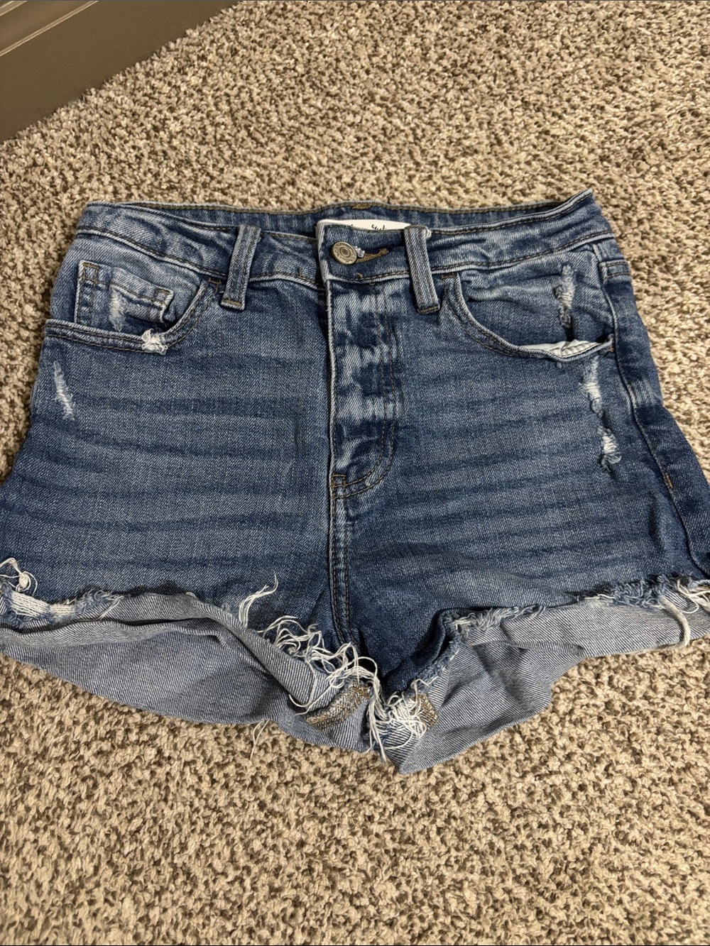 Casual Frayed Hem Blue Denim Shorts